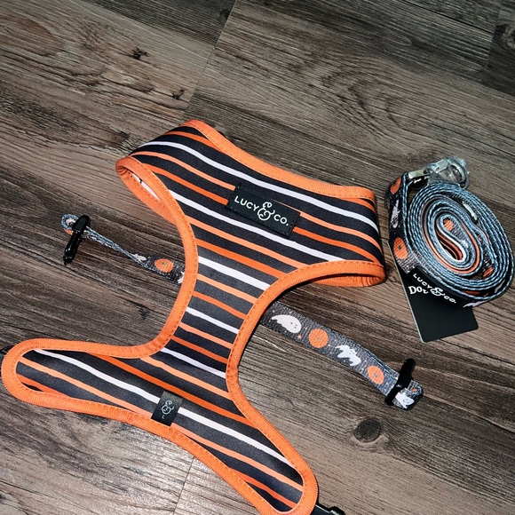 Harness and Leash Set: The Happy Haunting Large Lucy & Co. - Picture 3 of 5